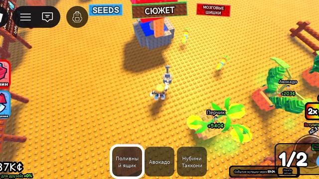 вырасти растение.