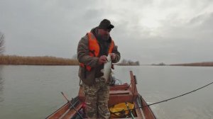 ГЛУБИНА ОДИН МЕТР, НО РЫБЫ ТУТ ТЬМА РЫБАЛКА МЕЧТЫ ✅✅✅