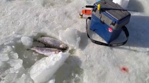 запуск 69 кг