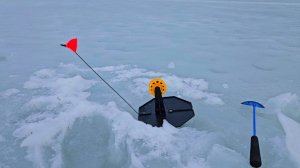 ЖОР ЩУКИ!!! ЗУБАСТАЯ БОМБИТ СНАСТИ. ВЕСЕННЯЯ РЫБАЛКА НА ОЗЕРЕ.