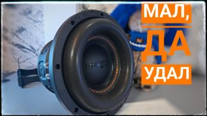 Мал да удал! DL Audio Phoenix Black Bass 8