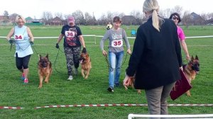 ЮНИОРЫ СУКИ / КЧК КРАСНОДАР 28 марта`26 З.Данильченко Моно немецких овчарок