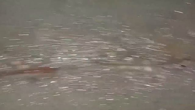 Ст. Ветеран. Чистка колодца. Пакля в швах . podkapaev.ru