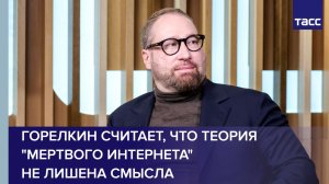 Горелкин считает, что Теория "мертвого интернета" не лишена смысла