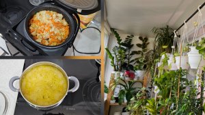 29.03.25 г Готовлю обед/ Суп куриный с вермишелью/ Плов/ Наша погода/ Весна/ Комнатные растения