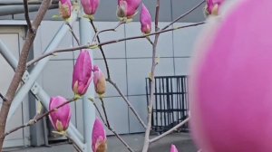 #219.Анапа.Вчера погода была хорошая,а сегодня дождь.Посетили 2 посёлка,в Горном посетили Храм.