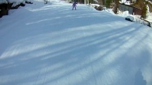 20260323_телецкое2