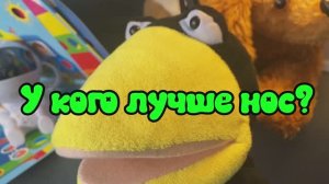 У кого лучше нос? Ворона Ася расскажет