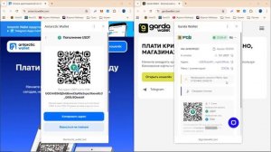 2 Лучших крипто кошелька Antarctic и Garda(ОПЛАТА КРИПТОЙ В МАГАЗИНЕ)