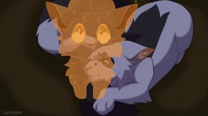 🍁CIRCLES - COMPLETED Ravenpaw MAP🍁