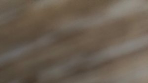 Челики дерутся 12 секунд