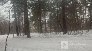 Почему большинство людей начинают расти только тогда , когда достигнут дна. Часть 3