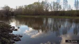 Весенний голавль на донки. 14 серия. Голавль на мелководьях. Голавль на печень.