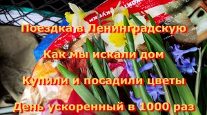 31. Переезд на Юг. Купили новостройку. Хлопоты по хозяйству