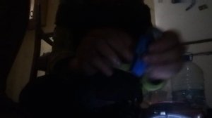 Интро канала той Бонни 6