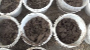 ГОРШКИ 💥 ДЛЯ РАССАДЫ 💥   ПОДПИШИСЬ