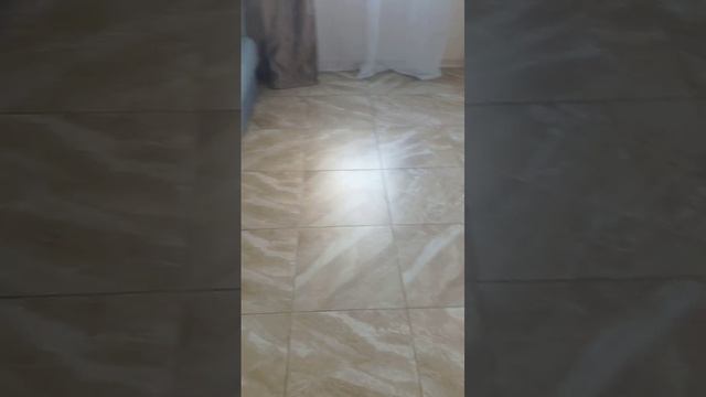 2cff478c-d1b7-4276-a687-342b3954e460