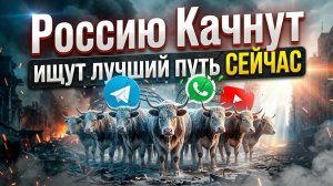 Щупают как качнуть Россию и коровы тут тоже причем