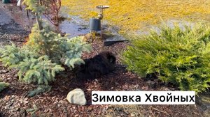 САД после зимы! Первые результаты зимовки, краткий обзор!