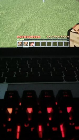 Выживаю без читов