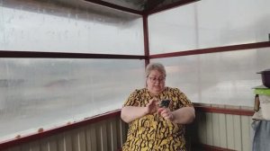 ОБЗОР НА КОММЕНТАРИИ ОТ ПОДПИСЧИКОВ-ЗАЩИТНИКОВ КАНАЛА ЖЕНЩИНА ПО ИМЕНИ РИММА