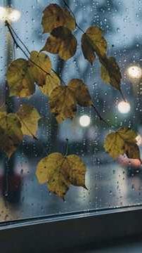 Барабанит дождь по стёклам