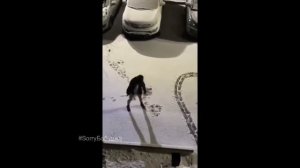 ЛУЧШИЕ ПРИКОЛЫ 2026 ржака угар ПРИКОЛЮХА