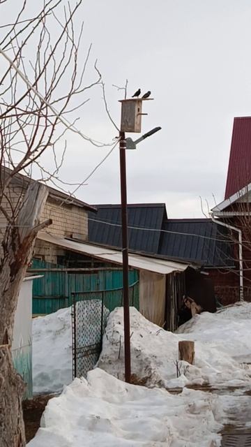 Теперь точно весна пришла ☀️🐦🪺