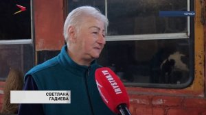 Ветеринары Черменской лечебницы защищают скот от сибирской язвы и других опасных инфекций