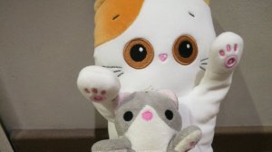 Гуляние с басиками