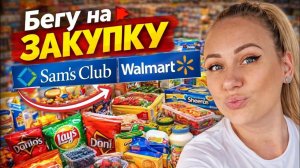 Лиса в Америке- Это уже лишнее!