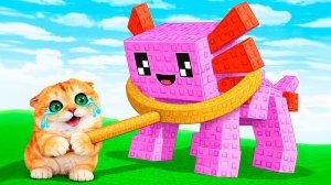 ПРИРУЧАЮ МАЛЕНЬКИХ ПИТОМЦЕВ! ДЕТИ ПИТОМЦЕВ СТАЛИ БОЛЬШИМИ!