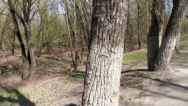 Transalp-слёт 17 2025г.