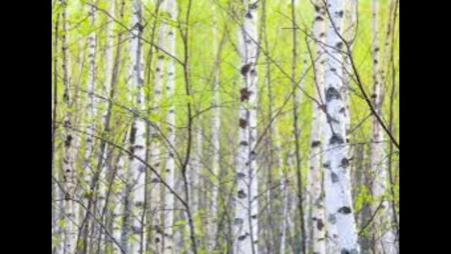 30 марта — Алексей Теплый. Традиции и народные приметы