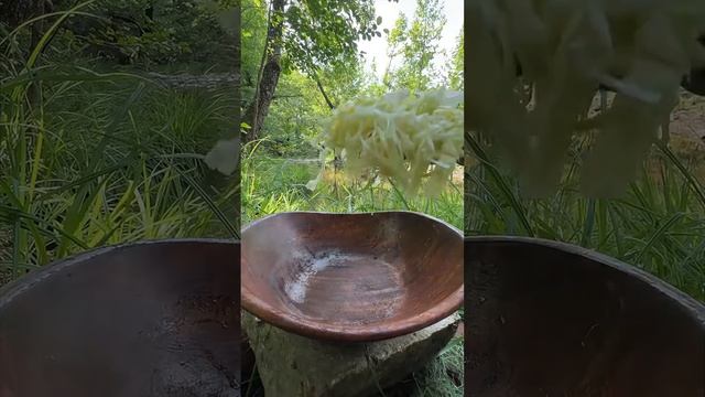 кушаем только лучшее