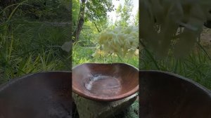 кушаем только лучшее