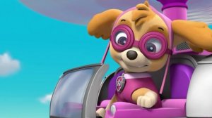 Paw Patrol. Щенячий патруль спасает мирЩенячий патруль готов вместе с тобой решать загадки, играть