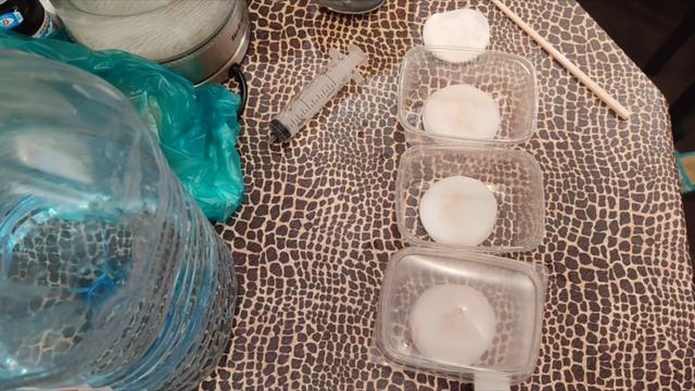 В чём лучше замачивать семена перца?Эпин,Циркон или Перекись?#семена #перец