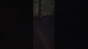 Всю ночь до семи утра следила за выкачкой воды