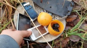 находки на свалке