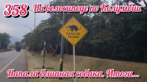 Напала бешаная собака. Итоги... На велосипеде по Южной Америке День 358 Колумбия