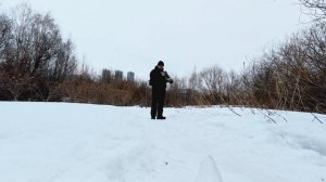 Прилетел ли кто с югов? (21.03.2026г.)