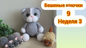 Бешеные крючки 9.0 Отчет 3 недели