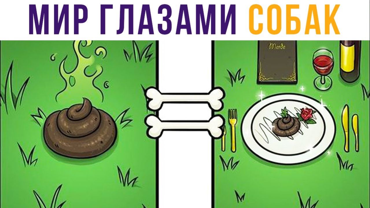 Мир глазами собак)) Комиксы смотреть онлайн