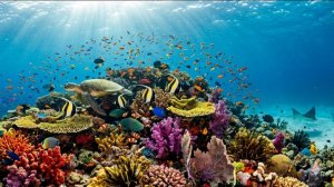 🌊✨ Откройте двери в удивительный подводный мир!