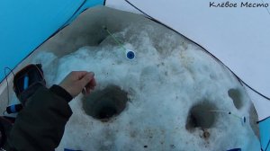 ОКУНЬ КЛЮЁТ КАК ДУРНОЙ КРУПНАЯ СОРОГА ТАК ЖЕ РАДУЕТ СВОИМИ ПОКЛЁВКАМИ