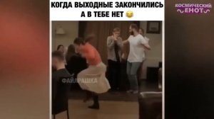 ЛУЧШИЕ ПРИКОЛЫ 2026 ржака до слез угар прикол   ПРИКОЛЮХА