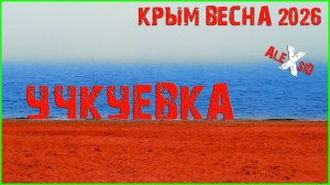 Весенний Крым / Учкуевка после зимовки