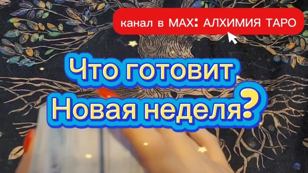 ЧТО ГОТОВИТ НОВАЯ НЕДЕЛЯ?