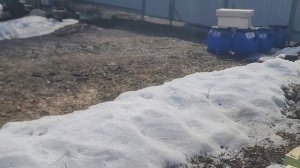 ф.72.  просматриваю пчелосемья и даю им бальзам Апимакс.